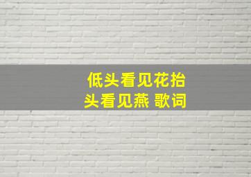 低头看见花抬头看见燕 歌词